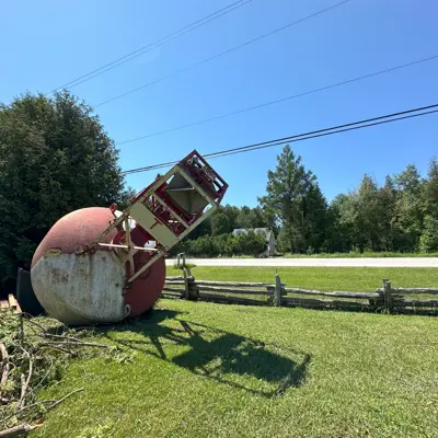 Outdoor photo of a large historical bouy displayed on a grassy field, with overhead wires and trees in the background.