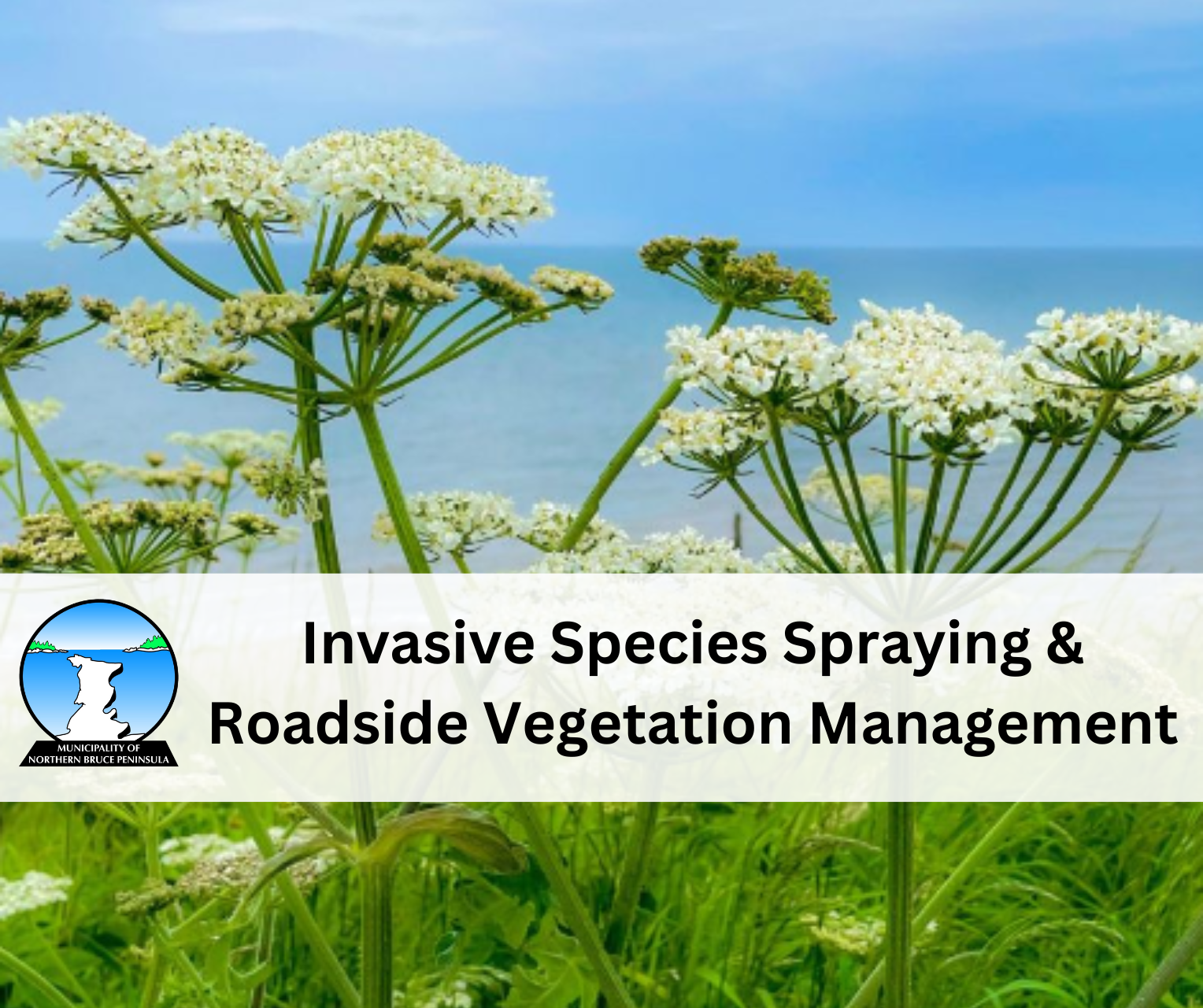 Invasive Species Spraying & Roadside Vegetation Management Poster
