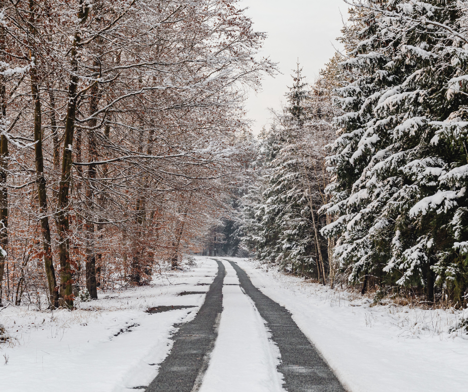 Snow covered road