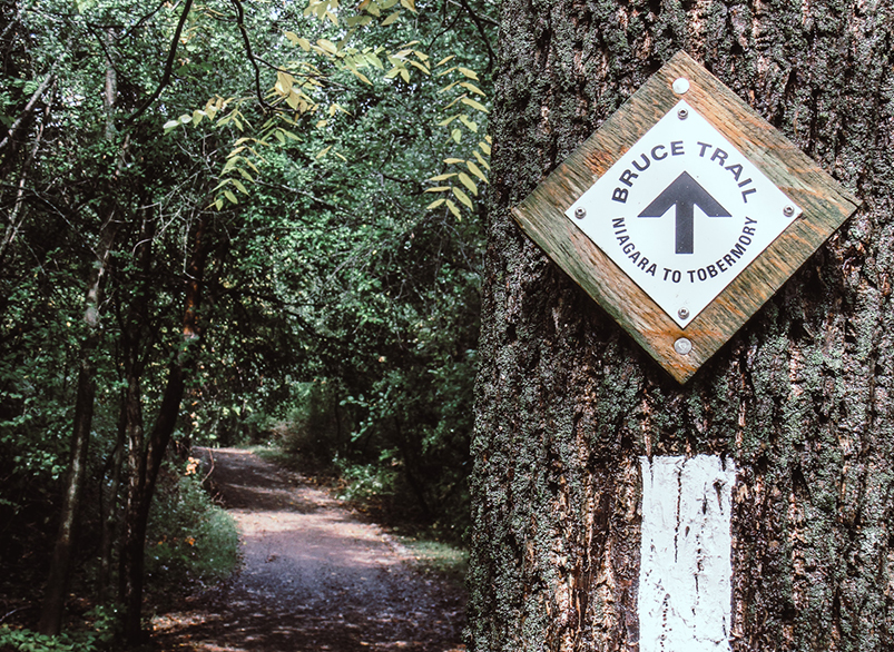 Bruce Trail Marker