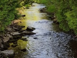 Stokes River
