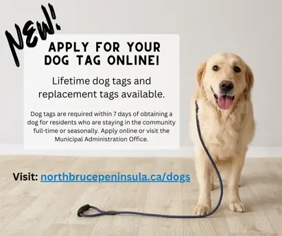 Get dog tags clearance
