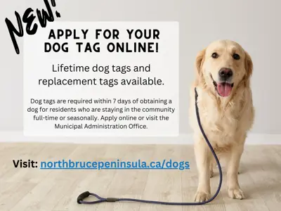 Dog Licensing Program
