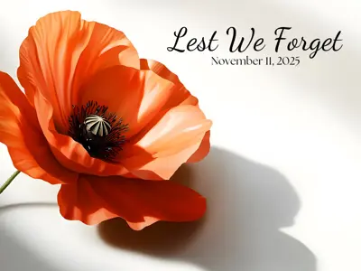 Photo of a poppy in full bloom against a white background.